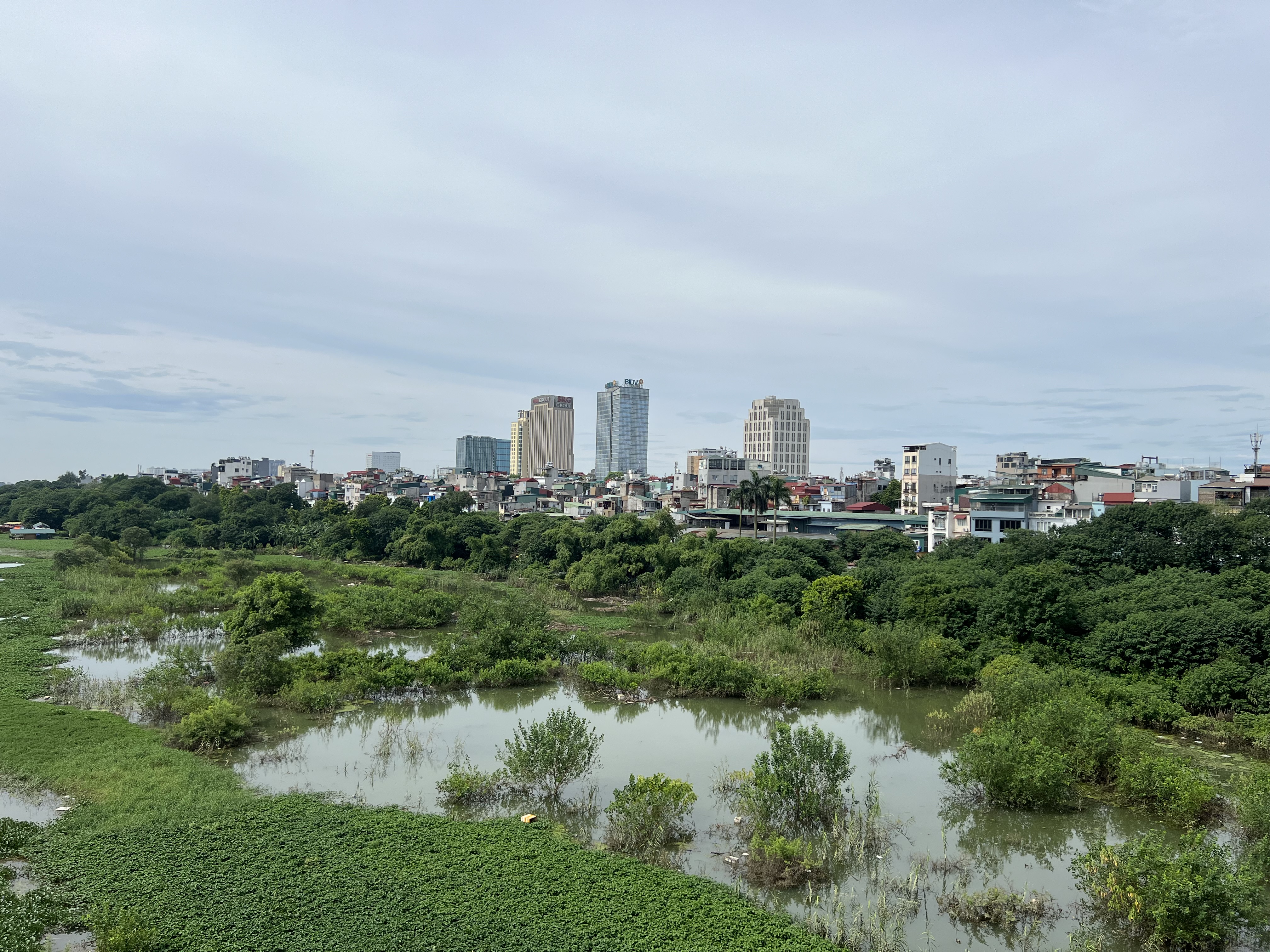 Đại lộ sông Hồng: Phát triển đô thị hay giữ hành lang sinh thái?