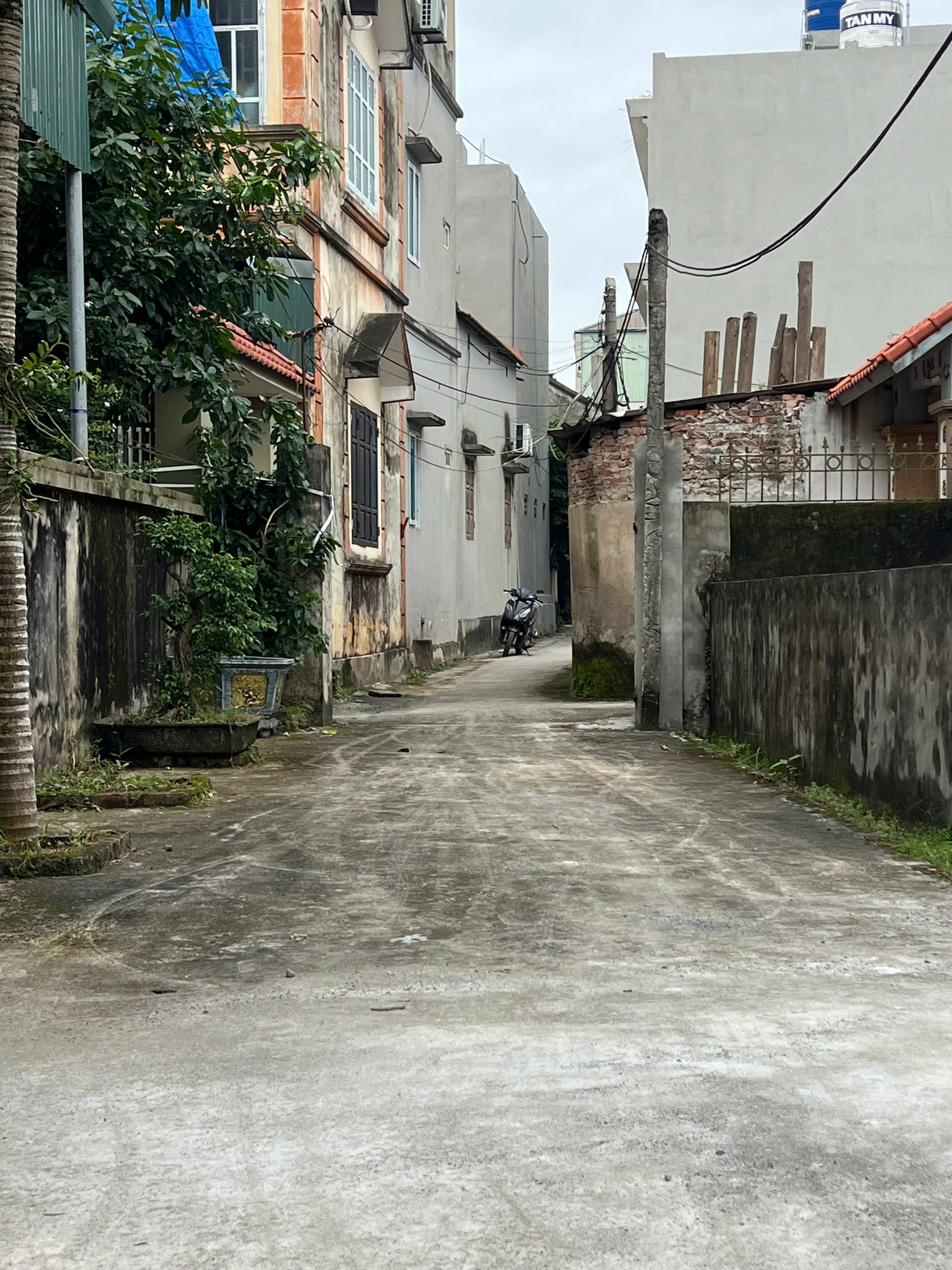 🪷 Ngon Bổ Rẻ - Bình Vọng - Thường Tín - HN