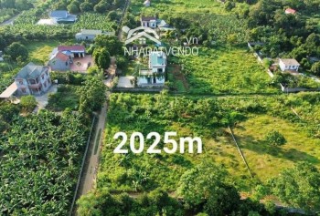 Lô góc 2mặt tiền 2025m2 tại liên sơn- lương sơn- hoà bình