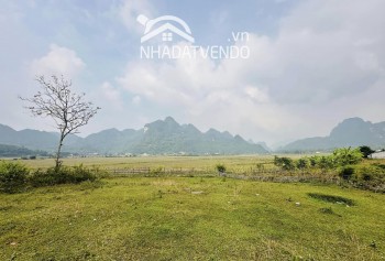 Chỉ cách Hà Nội 55km, a/c sẽ sở hữu ngay thửa đất gần 3000m2 trong đó có 800m2 thổ cư.