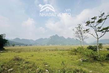 Chỉ cách Hà Nội 55km, a/c sẽ sở hữu ngay thửa đất gần 3000m2 trong đó có 800m2 thổ cư.