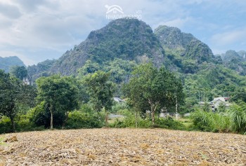 3800m2 View cánh đồng núi đá tại : Liên Sơn- lương Sơn- Hòa Bình