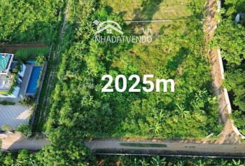 Lô góc 2mặt tiền 2025m2 tại liên sơn- lương sơn- hoà bình