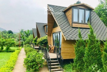 Bán gấp resort mini có tổng diện tích đất lên đến 4846m2 trong đó có 250m2 đất thổ cư còn lại là đất cây lâu năm