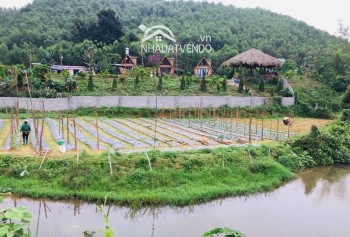 Bán gấp resort mini có tổng diện tích đất lên đến 4846m2 trong đó có 250m2 đất thổ cư còn lại là đất cây lâu năm