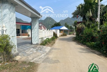 Bán gấp lô đất có diện tích 4000m2 trong đó có 1535m2 thổ cư còn lại là đất trồng cây lâu năm