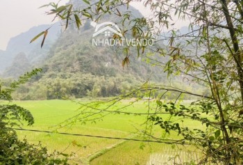 Lô đất không có điểm chê. Vừa bám Hồ. Vừa view cánh đồng. View núi đá