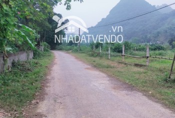 Bán gấp lô đất có diện tích 4880m2 trong đó có 100m2 thổ cư 2800m2 đất trồng cây lâu năm còn lại là đất rừng sản xuất