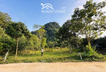 BÁN GẤP LÔ ĐẤT CÓ DT 1653m2 FULL THỔ CƯ SẴN VƯỜN CÂY ĂN TRÁI VIEW VÀ LƯNG TỰA NÚI