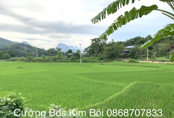 ☘️Siêu phẩm view cánh đồng lúa Kim Bôi-Hoà Bình. ☘️Dt Full thổ cư 1.912m2, mặt tiền 8,8m