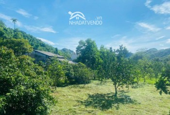 - Diện tích 2,2ha có : 400m thổ cư + 1400m đất vườn còn lại rsx - bám mặt đường nhựa liên huyện 50m .