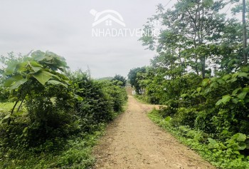 cần bán nhanh 1ha tại lương sơn hòa bình , view toàn cảnh lương sơn