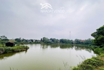 SIÊU PHẨM VIEW HỒ VÀ VIEW CÁNH ĐỒNG BÁM ĐƯỜNG LIÊN XÃ CÓ DT 4000m2 (400mn2 ONT)