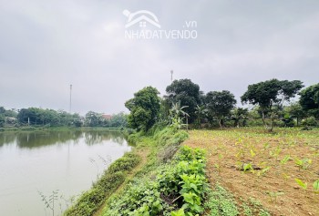 SIÊU PHẨM VIEW HỒ VÀ VIEW CÁNH ĐỒNG BÁM ĐƯỜNG LIÊN XÃ CÓ DT 4000m2 (400mn2 ONT)