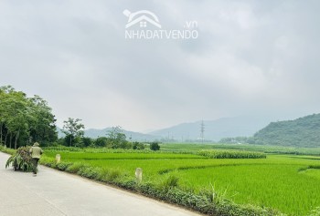 SIÊU PHẨM VIEW HỒ VÀ VIEW CÁNH ĐỒNG BÁM ĐƯỜNG LIÊN XÃ CÓ DT 4000m2 (400mn2 ONT)