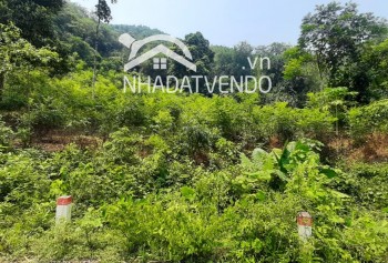 5,2ha đất hỗn hợp bám đường bê tông tại lương sơn - hoà bình