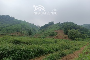 Bán gấp lô đất có diện tích 1,4ha trong đó có 400m2 thổ cư 1000m2 cây lâu năm, 5000m2 đất lúa còn lại là đất rừng sản xuất