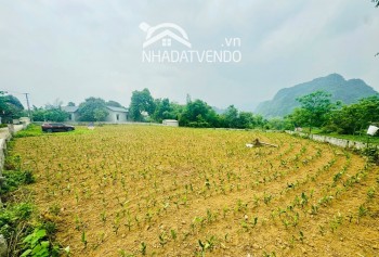 2300m2 bám đường bê tông 50m - đ/c : cao dương - lương sơn