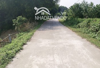 Chỉ cách hà nội 45km, cần bán gấp lô đất với tổng dt 6250m2, trong đó có 130m2 thổ cư và 1200m2 cây lâu năm, còn lại là đất rừng sản xuất.