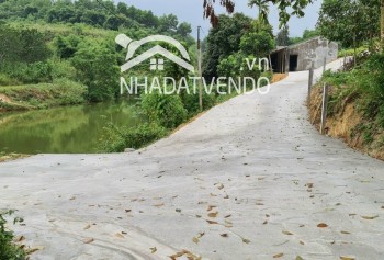 Chính chủ gửi bán 5500m2 đ/c : tân vinh - lương sơn - hoà bình