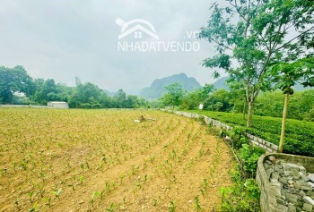 2300m2 bám đường bê tông 50m - đ/c : cao dương - lương sơn