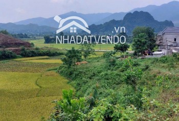 SIÊU PHẨM NGHỈ DƯỠNG VIEW HỒ NAM THƯỢNG DT 1,2HA GIÁ RẺ