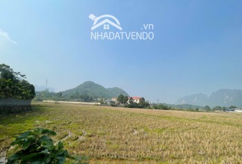 Bán đất tặng nhà - view cánh đồng tại lương sơn - hoà bình