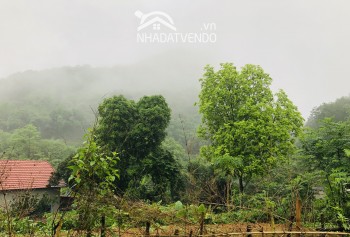 Cần bán lô đất tại Cư Yên Lương Sơn Hòa Bình chỉ cách Hà Nội 40km