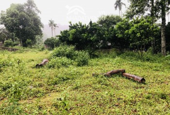 Cần bán lô đất tại Cư Yên Lương Sơn Hòa Bình chỉ cách Hà Nội 40km