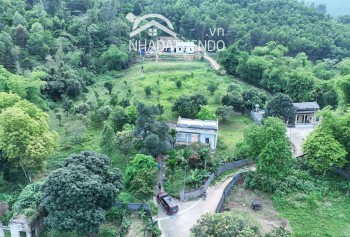 Bán gấp siêu phẩm View  sân Golf Phượng Hoàng   diện tích 4000m2 trong đó có 350m2 thổ cư còn lại là cây lâu năm.