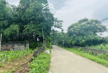 Bán gấp lô đất có diện tích 1800m2 trong đó có 100m2 thổ cư còn lại là đất trồng cây lâu năm