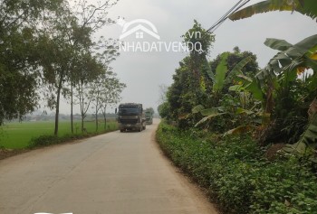 CÁCH HÀ NỘI CHỈ HƠN 40km, SỞ HỮU NGAY LÔ ĐẤT ĐẸP VIEW CÁNH ĐỒNG, VIEW HỒ, BÁM ĐƯỜNG LIÊN XÃ Ở LƯƠNG SƠN - HOÀ BÌNH.