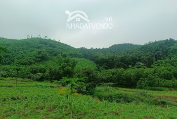 Lương Sơn Hòa Bình ô đất có diện tích 1,4ha trong đó có 400m2 thổ cư 1000m2 cây lâu năm, 5000m2 đất lúa còn lại là đất rừng sản xuất