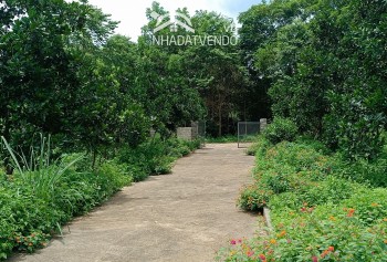 - chính chủ gửi bán lô đất có diện tích 4200m2 trong đó có 200m2 thổ cư còn lại là đất trồng cây lâu năm.