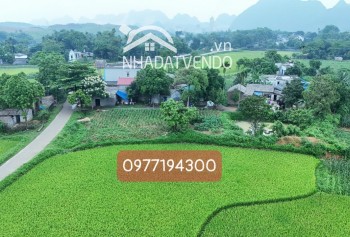 LÔ ĐẤT 1380M/400ONT VIEW CÁNH ĐỒNG NÚI ĐÁ CỰC ĐẸP TẠI LƯƠNG SƠN, HB