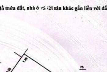 Bán gấp lô đất có diện tích 400m2 full thổ cư          .