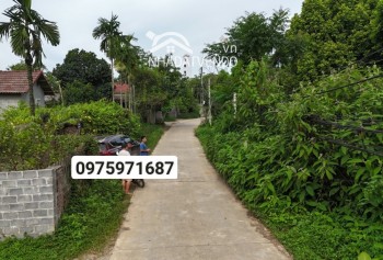 Bán gấp lô đất có diện tích 1460m2 trong đó có 400m2 thổ cư còn lại là đất trồng câu lâu năm