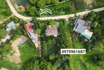 Bán gấp lô đất có diện tích 1460m2 trong đó có 400m2 thổ cư còn lại là đất trồng câu lâu năm