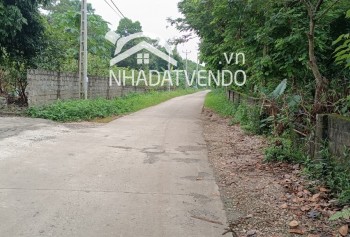 Bán gấp lô đất có diện tích 2000m2 trong đó có 100m2 thổ cư còn lại là đất trồng cây lâu năm