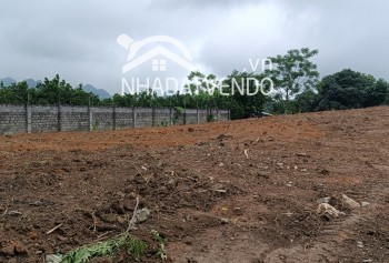 Bán gấp lô đất có diện tích 2852m2 trong đó có 200m2 thổ cư còn lại là đất trồng cây lâu năm