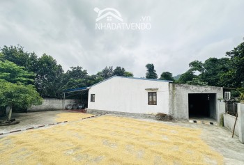 Cần bán lô đất có diện tích 1240m2 trong đó có 100m2 thổ cư còn lại là đất trồng cây lâu năm.