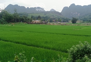 CHỈ CÁCH HÀ NỘI 60km CÓ NGAY LÔ ĐẤT VIEW CÁNH ĐỒNG NÚI NON CỰC ĐẸP, LÀM HOMESTAY NGHỈ DƯỠNG Ở KIM BÔI, HOÀ BÌNH