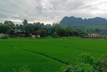 CHỈ CÁCH HÀ NỘI 60km CÓ NGAY LÔ ĐẤT VIEW CÁNH ĐỒNG NÚI NON CỰC ĐẸP, LÀM HOMESTAY NGHỈ DƯỠNG Ở KIM BÔI, HOÀ BÌNH