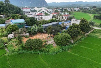 CHỈ CÁCH HÀ NỘI 60km CÓ NGAY LÔ ĐẤT VIEW CÁNH ĐỒNG NÚI NON CỰC ĐẸP, LÀM HOMESTAY NGHỈ DƯỠNG Ở KIM BÔI, HOÀ BÌNH