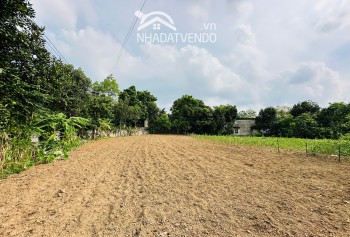 BÁN GẤP LÔ ĐẤT CÓ DIỆN TÍCH 1000m2 ( 150m2 ONT) VIEW ĐẸP GIÁ RẺ Ở LƯƠNG SƠN