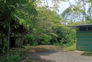 Gửi đến quý anh chị nđt lô đất sẵn khuôn viên nghỉ dưỡng tại lương sơn hòa bình.