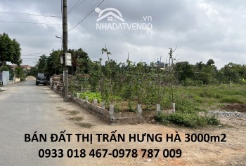 Bán đất xã tây đô, hưng hà, thái bình trục huyện 3000m2-2tr/m2-0933018467-0978787009