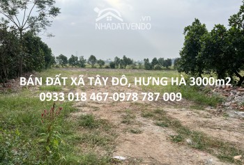 Bán đất xã tây đô, hưng hà, thái bình trục huyện 3000m2-2tr/m2-0933018467-0978787009